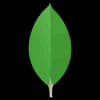 MongoDB